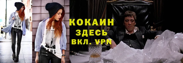 тгк Алексин