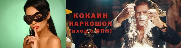 тгк Алексин