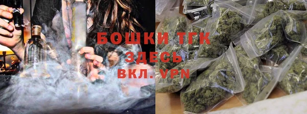 тгк Алексин