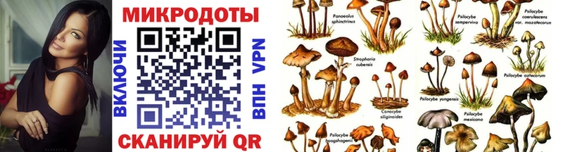 Галлюциногенные грибы GOLDEN TEACHER Павловская