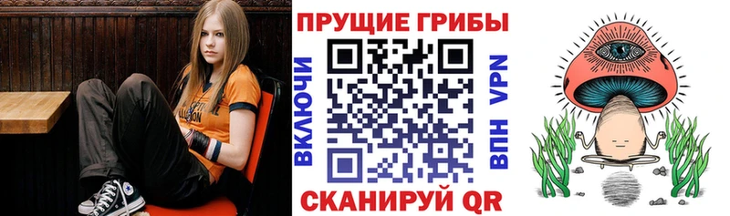 Галлюциногенные грибы мухоморы  Павловская 